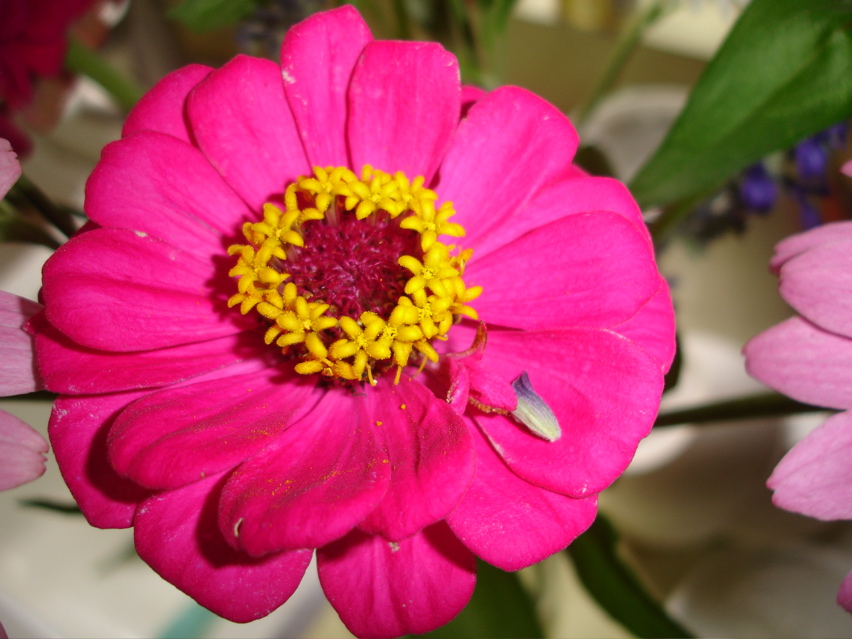 DSC06366.JPG