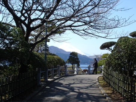 DSC03187.JPG