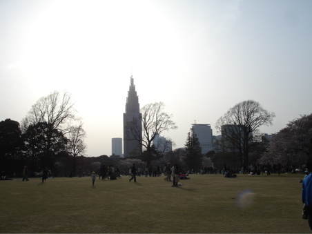 DSC03295.JPG