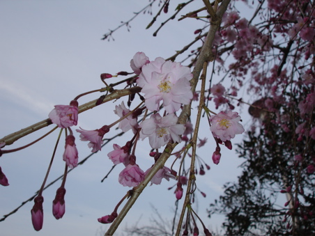 DSC03304.JPG