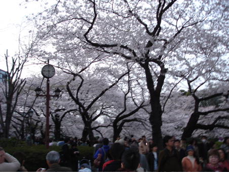 DSC03317.JPG