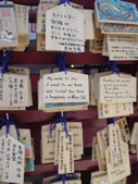 DSC03213.JPG