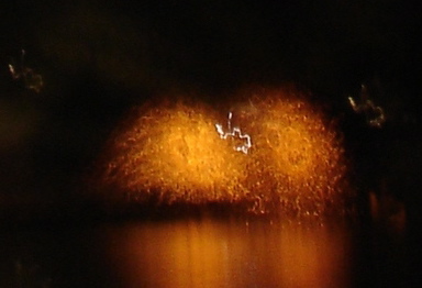 DSC06800.JPG copy