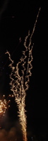 DSC06807.JPG copy