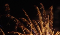 DSC06815.JPG copy