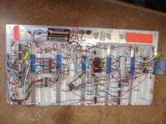 DSC05350.JPG