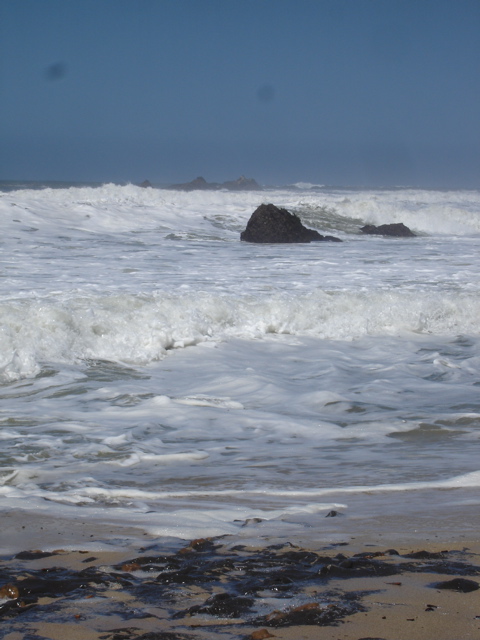 DSC05945.JPG