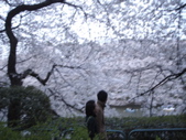 DSC03319.JPG