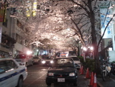 DSC03361.JPG