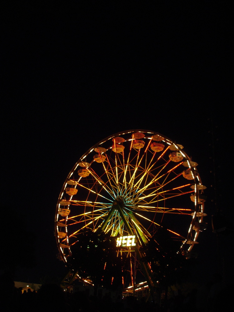 DSC06766.JPG