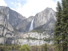 DSC01219